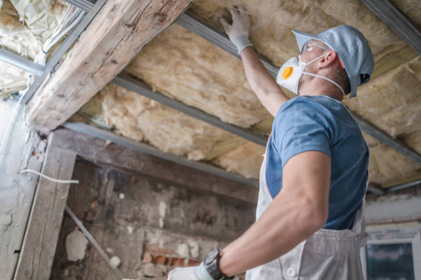 Best Eco-Friendly Insulation in Phoenix, NY