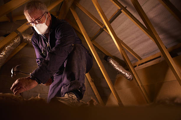 Best DIY Insulation Kits and Guidance in Phoenix, NY